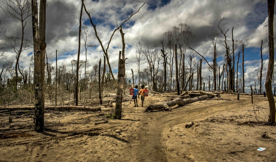 Emergency Mining Ban In Peru: Assessing The $200 Million Impact On Gold Emergency Mining Ban In Peru: Assessing The $200 Million Impact On Gold