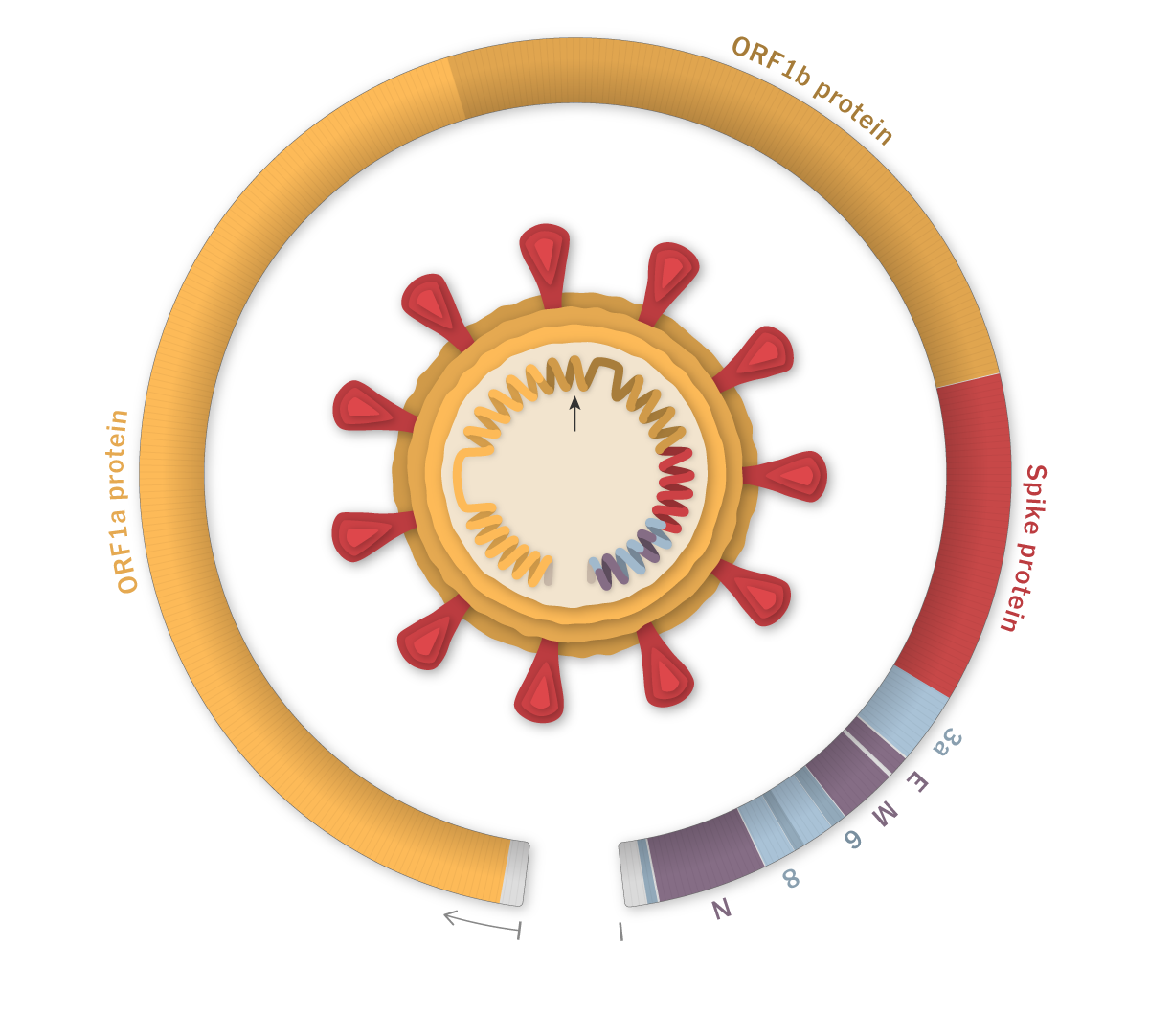 Emerging COVID-19 Variant: WHO Investigating Global Case Spike Emerging COVID-19 Variant: WHO Investigating Global Case Spike