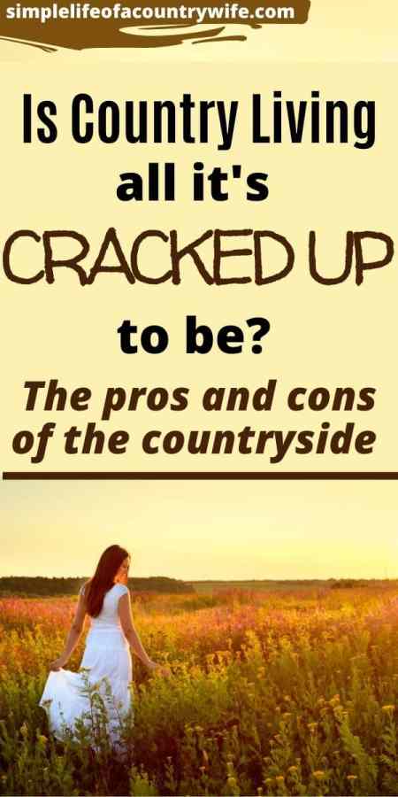 Escape To The Country: Weighing The Pros And Cons Of Rural Living Escape To The Country: Weighing The Pros And Cons Of Rural Living