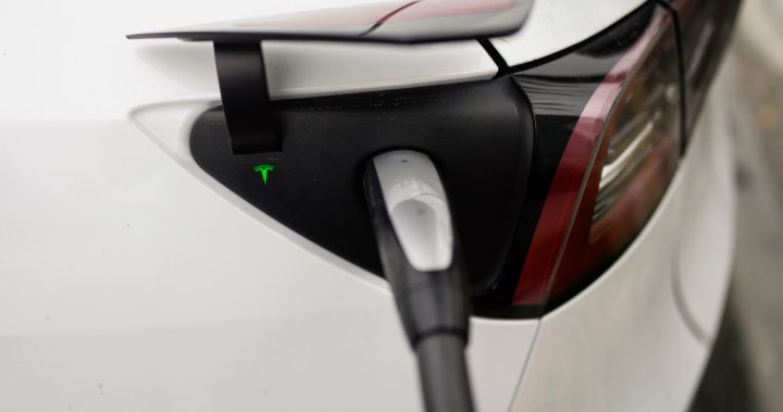 EV Mandate Backlash: Car Dealerships Push For Alternatives EV Mandate Backlash: Car Dealerships Push For Alternatives