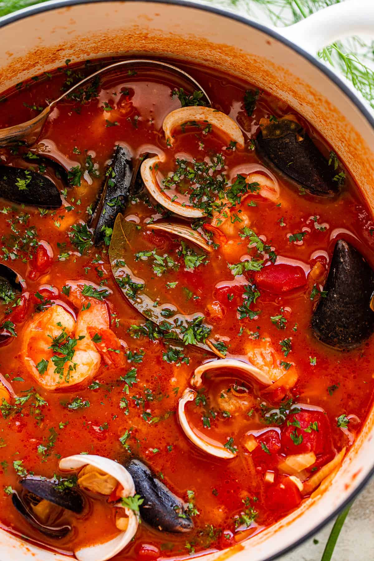 Eva Longoria's Delight: World-Renowned Chef's Fisherman's Stew Eva Longoria's Delight: World-Renowned Chef's Fisherman's Stew