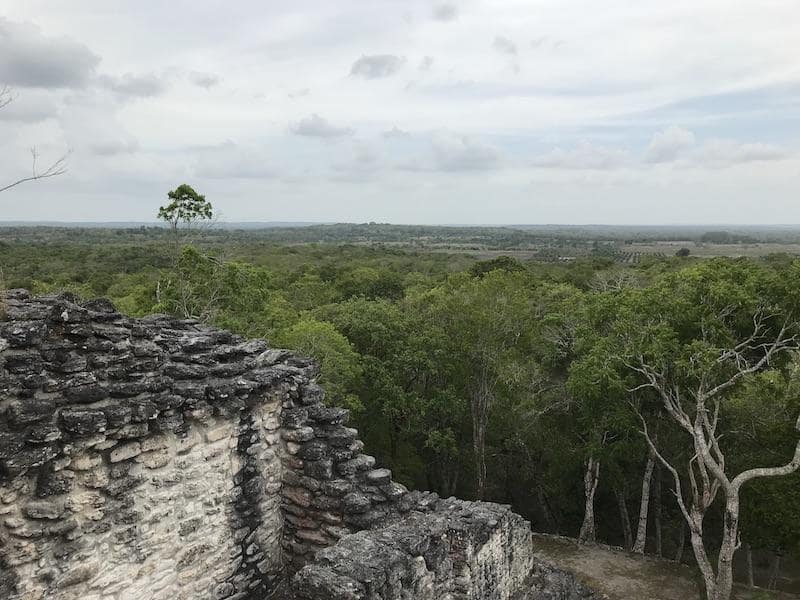 Excavation Reveals Extensive 3,000-Year-Old Mayan City With Canals And Pyramids Excavation Reveals Extensive 3,000-Year-Old Mayan City With Canals And Pyramids