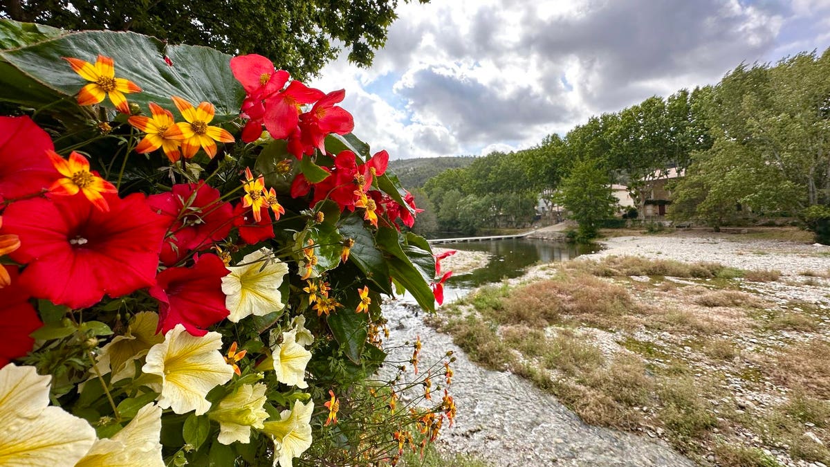 Experience The Richness Of Sun-Kissed Minervois: Quality Wine At Competitive Prices Experience The Richness Of Sun-Kissed Minervois: Quality Wine At Competitive Prices