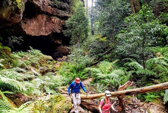 Explore Provence: A Self-Guided Walk From Mountains To Mediterranean Explore Provence: A Self-Guided Walk From Mountains To Mediterranean