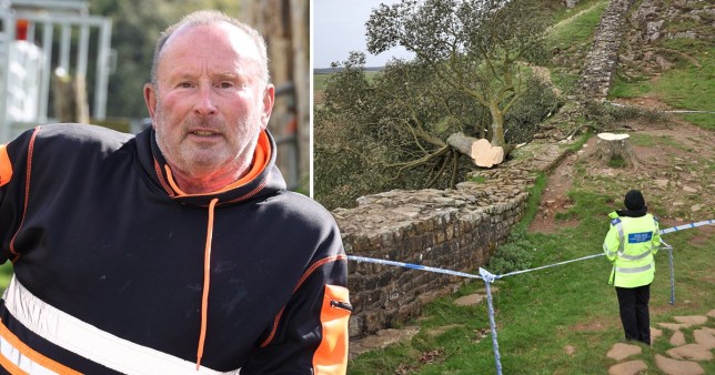 Felling Of Iconic Sycamore Gap Tree: Two Convictions Felling Of Iconic Sycamore Gap Tree: Two Convictions