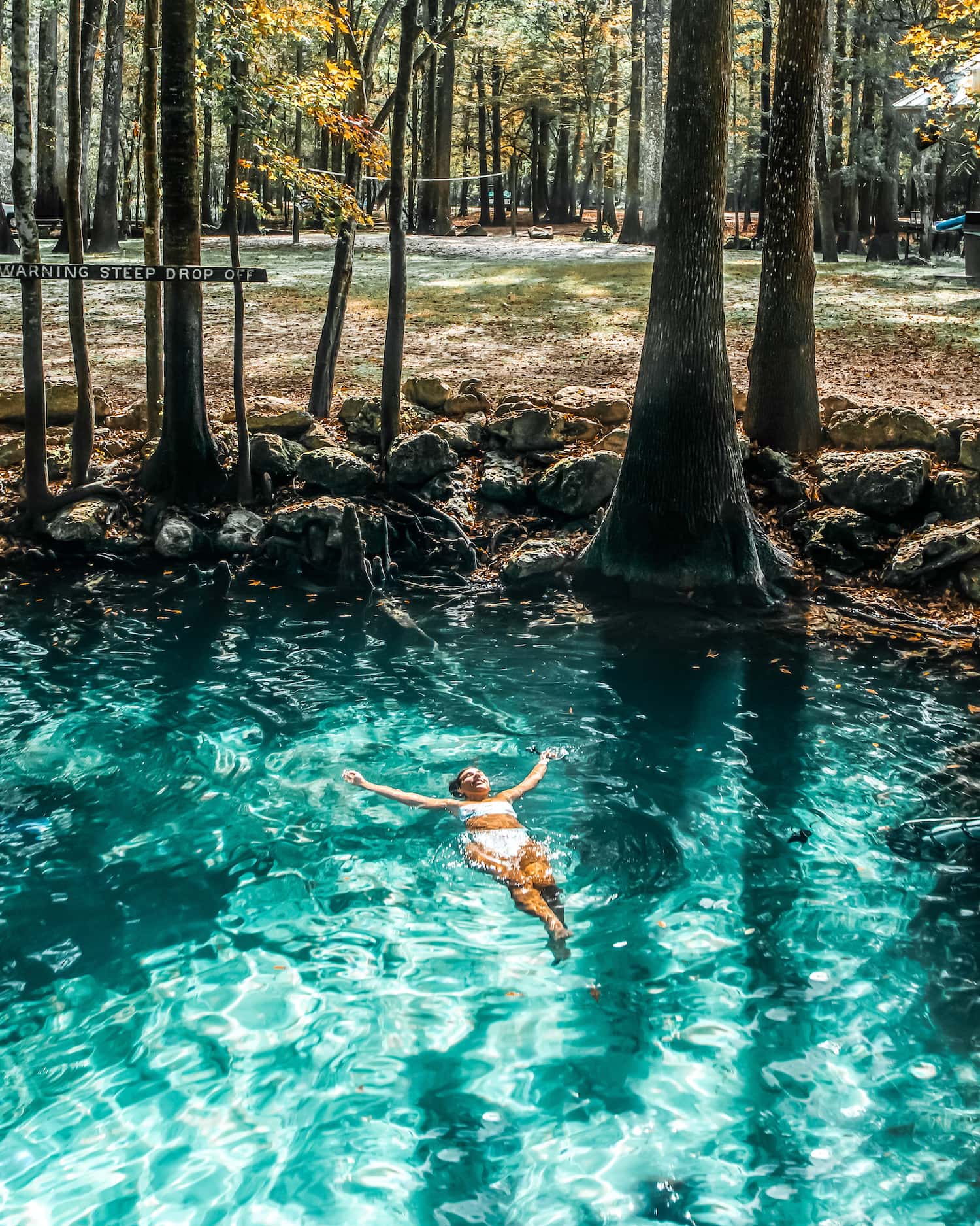 Filming Gators In Florida Springs: A Guide For Filmmakers Filming Gators In Florida Springs: A Guide For Filmmakers