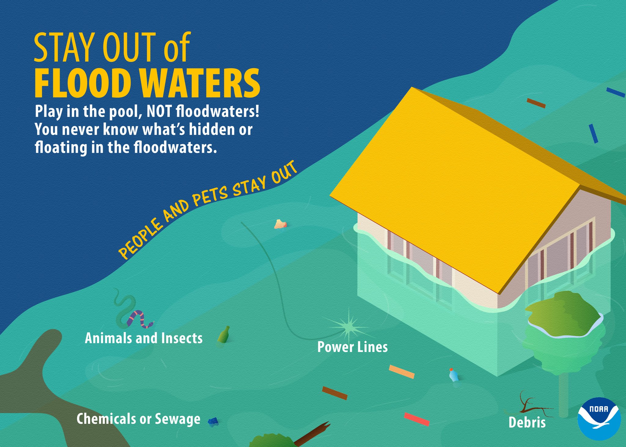 Flood Safety During Severe Weather Awareness Week: Day 5 Guide Flood Safety During Severe Weather Awareness Week: Day 5 Guide