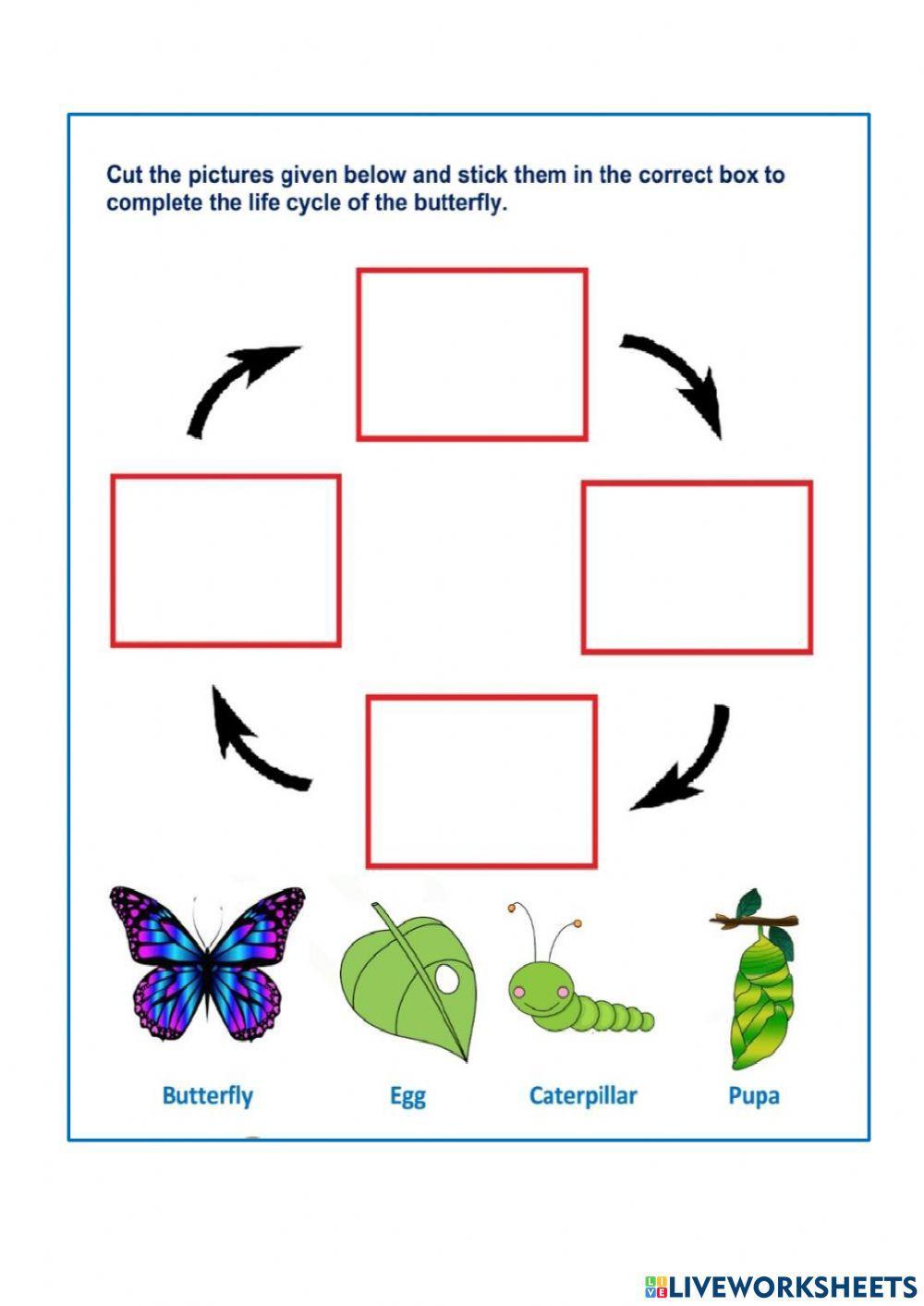 From Egg To Animal: A Life Cycle Curriculum Using Campus Farm Animals