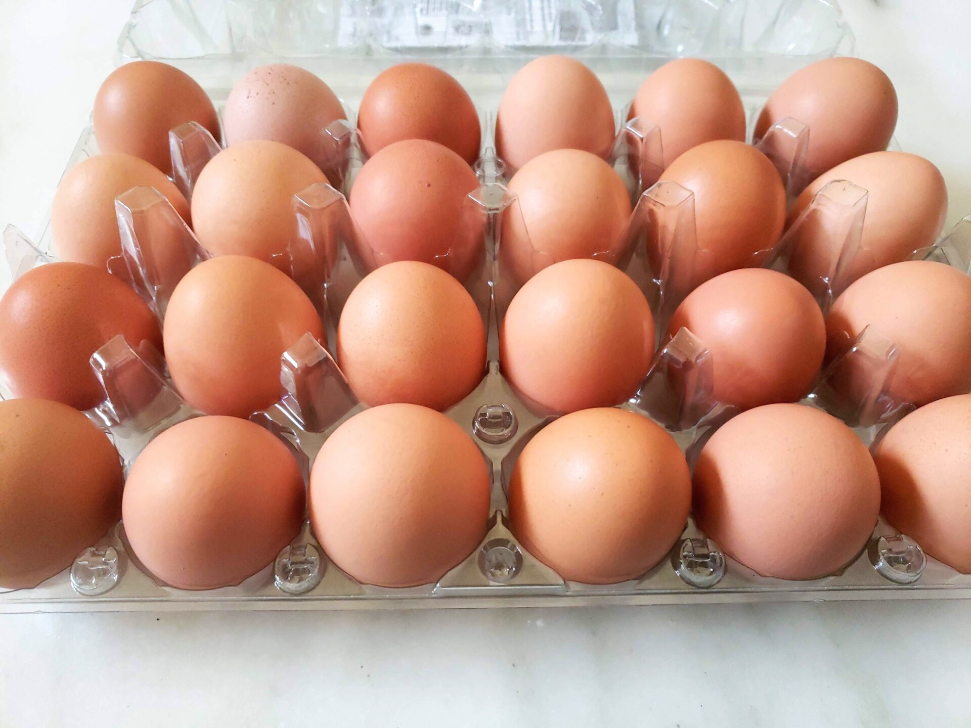 From Fiction To Fact: Examining Trump's Statement On Egg Prices From Fiction To Fact: Examining Trump's Statement On Egg Prices