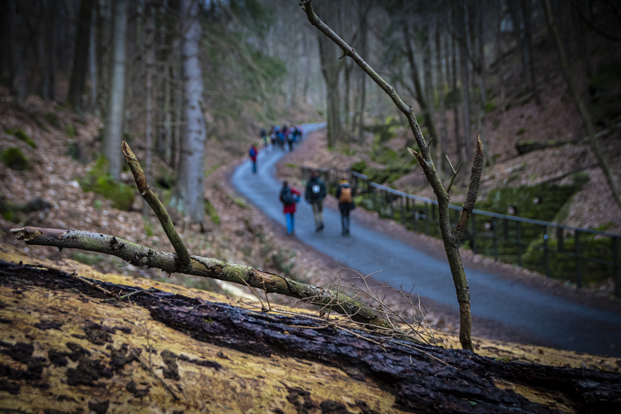 Fünf Neue Partner Für Den Nationalpark Sächsische Schweiz Fünf Neue Partner Für Den Nationalpark Sächsische Schweiz