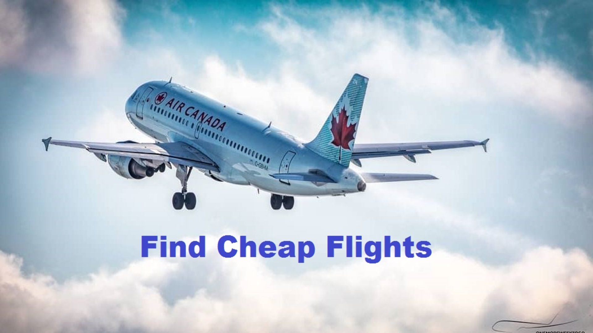 Fun In The Air: Flights That Make Travel Exciting Fun In The Air: Flights That Make Travel Exciting