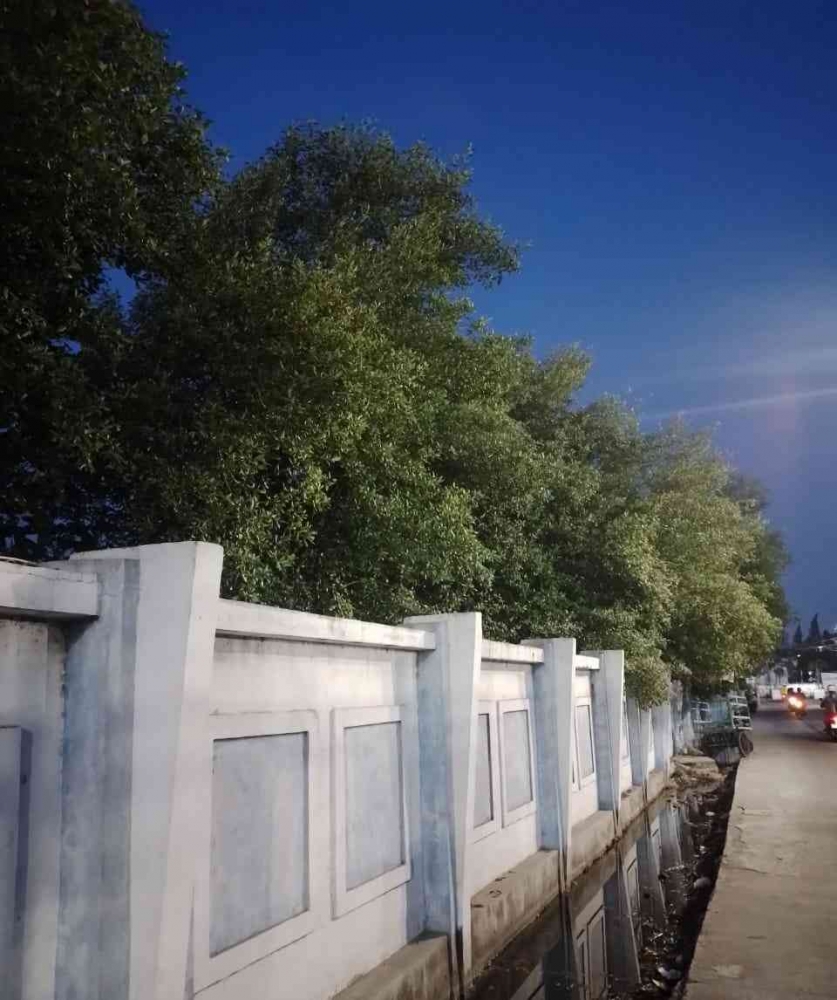 Giant Sea Wall: Solusi Pertahanan Pesisir Dan Peran Swasta Giant Sea Wall: Solusi Pertahanan Pesisir Dan Peran Swasta