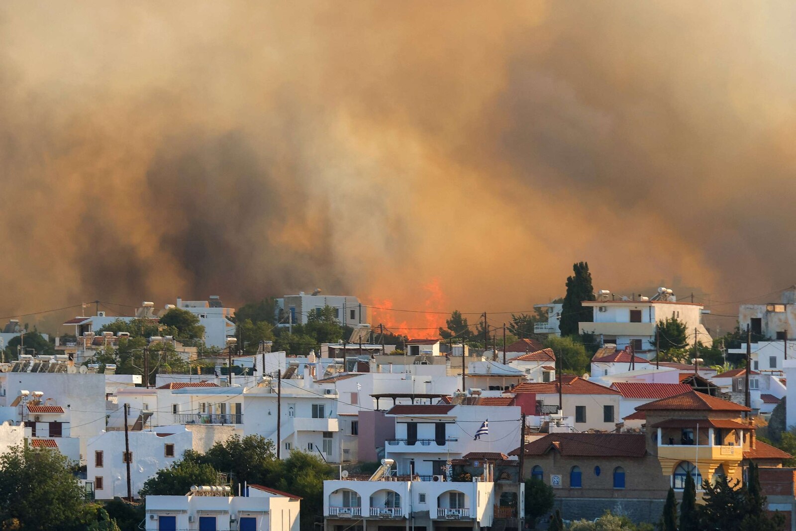 Global Forest Destruction: A Record Year Fueled By Wildfires Global Forest Destruction: A Record Year Fueled By Wildfires