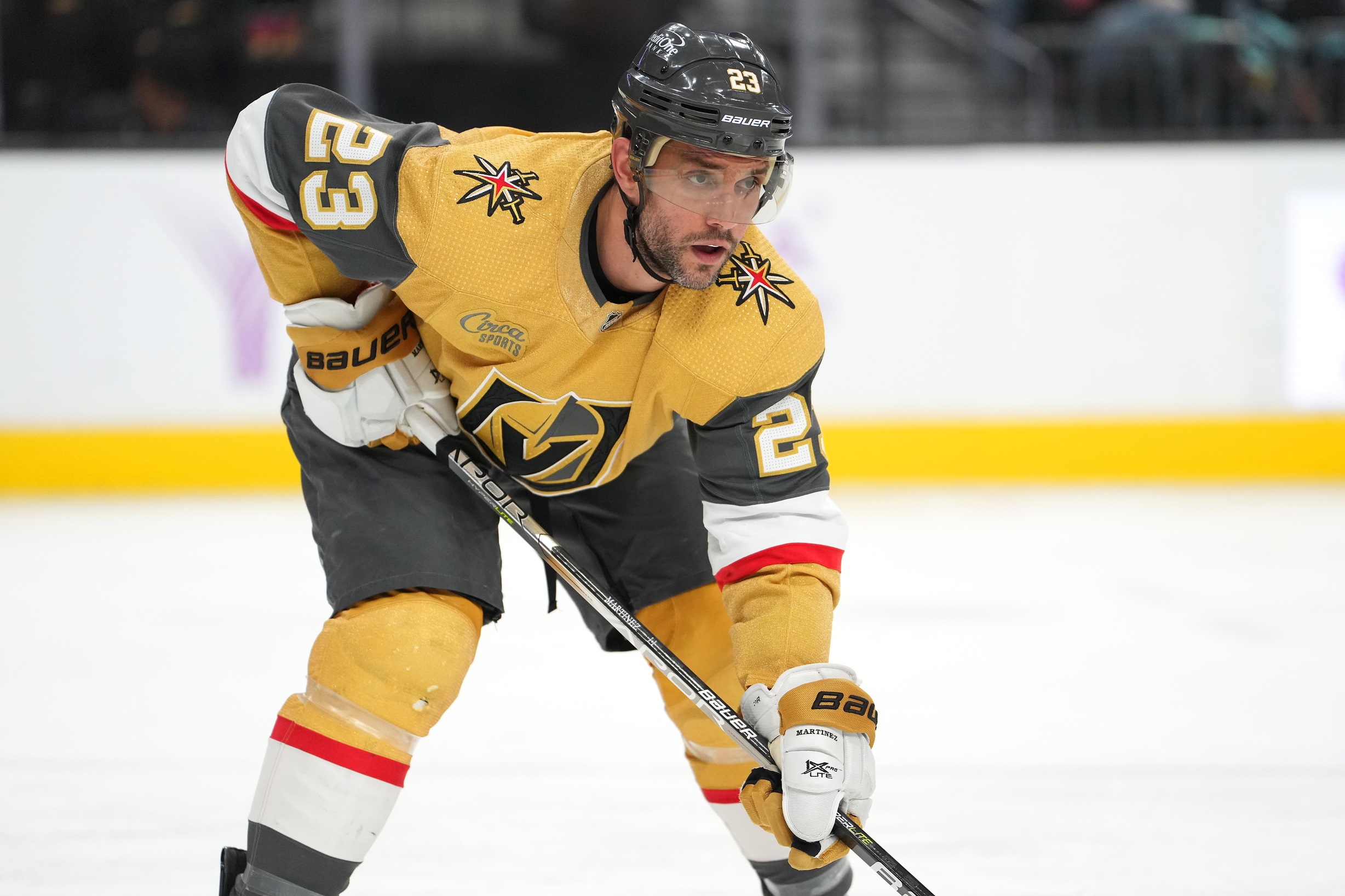 Golden Knights Vs. Red Wings: Hertl's Record-Setting Performance Golden Knights Vs. Red Wings: Hertl's Record-Setting Performance