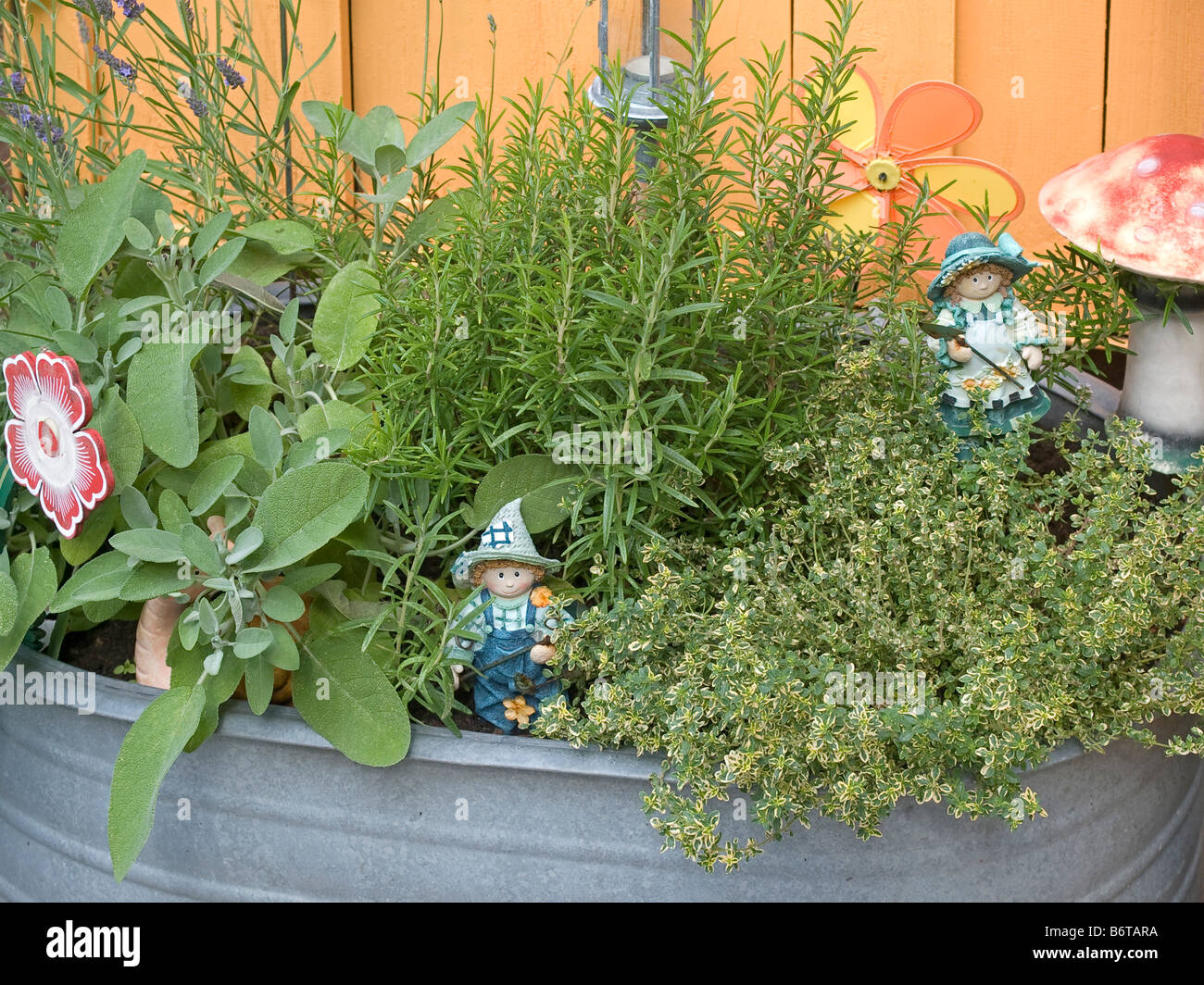Growing Rosemary & Thyme: A Comprehensive Guide For Beginners