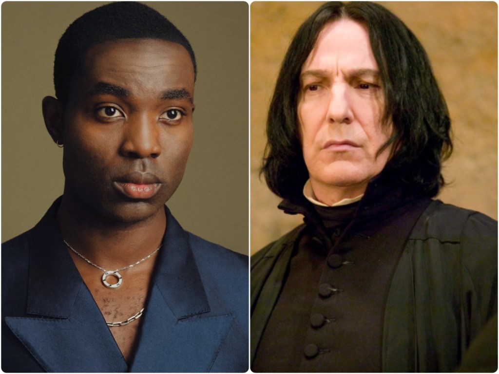 Harry Potter TV Series: Cast Revealed - Dumbledore, Snape, Hagrid & McGonagall Harry Potter TV Series: Cast Revealed - Dumbledore, Snape, Hagrid & McGonagall