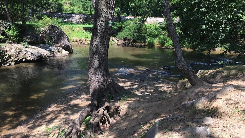 High Bacteria Levels In Rock Creek: RFK Jr. Family's Swim Sparks Debate High Bacteria Levels In Rock Creek: RFK Jr. Family's Swim Sparks Debate