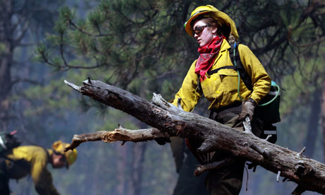 Homes Destroyed, Thousands Flee Eastern Newfoundland Wildfires Homes Destroyed, Thousands Flee Eastern Newfoundland Wildfires