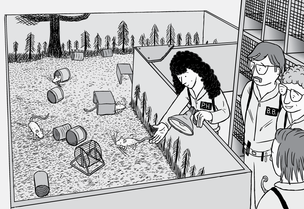 Houston's Rat Problem: A Drug Addiction Crisis Houston's Rat Problem: A Drug Addiction Crisis
