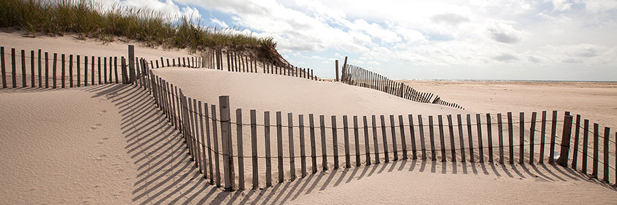 How Edward Burke Jr. Dominates DWI Defense In The Hamptons How Edward Burke Jr. Dominates DWI Defense In The Hamptons