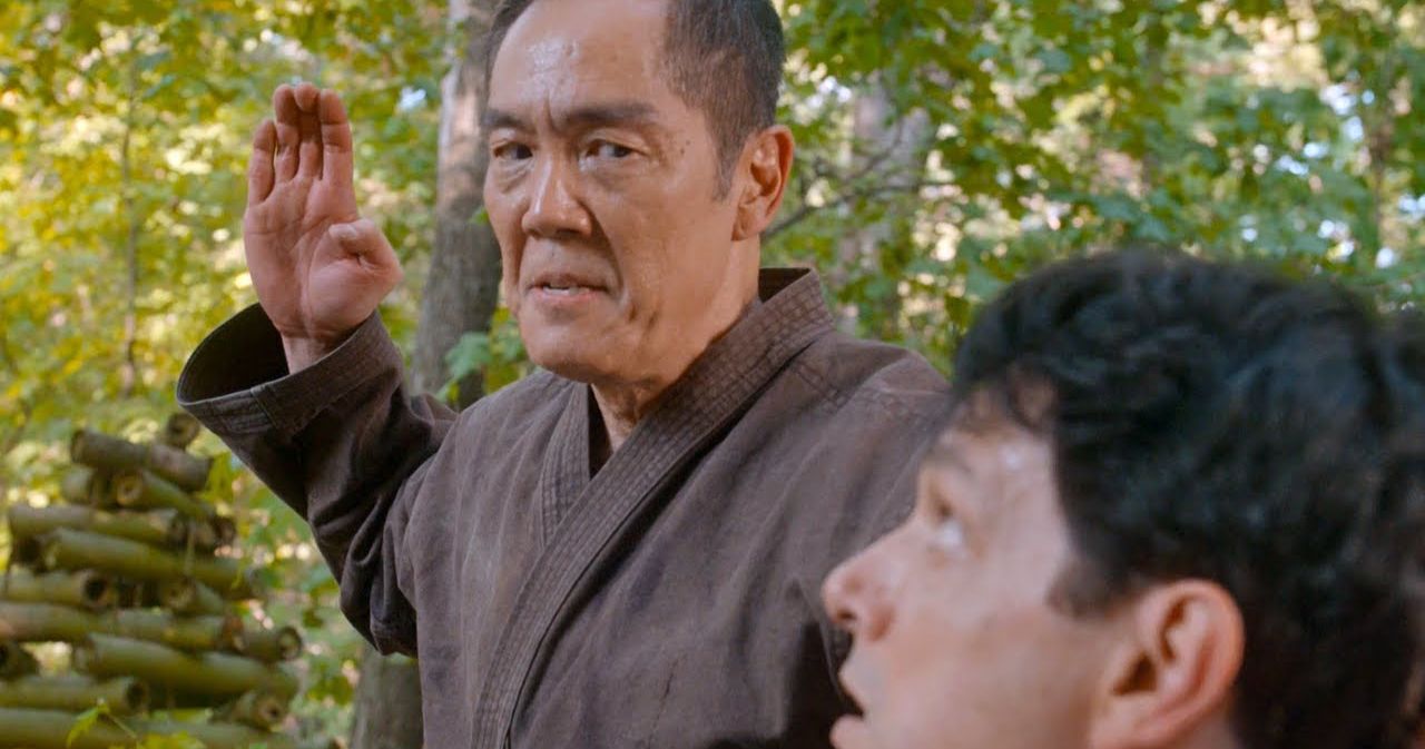How Netflix's Cobra Kai Continues The Karate Kid Story