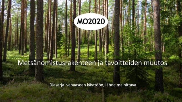 Huuhkajat MM-karsinnoissa: Uusi Valmennus Ja Tavoitteet Huuhkajat MM-karsinnoissa: Uusi Valmennus Ja Tavoitteet
