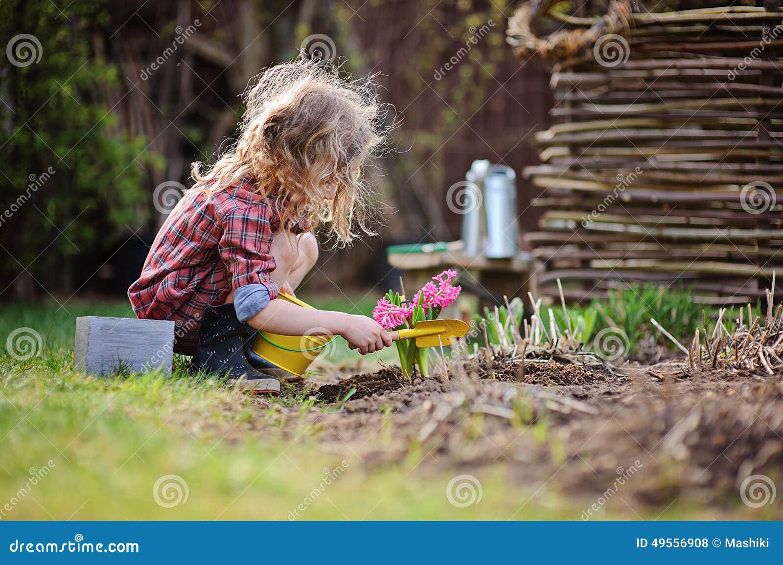 Hyacinth Planting: Timing For Vibrant Spring Flowers Hyacinth Planting: Timing For Vibrant Spring Flowers
