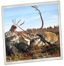 Illegal Caribou Hunting: RCMP Probe Into Remote Lodge Incident Near Manitoba-Nunavut Border Illegal Caribou Hunting: RCMP Probe Into Remote Lodge Incident Near Manitoba-Nunavut Border