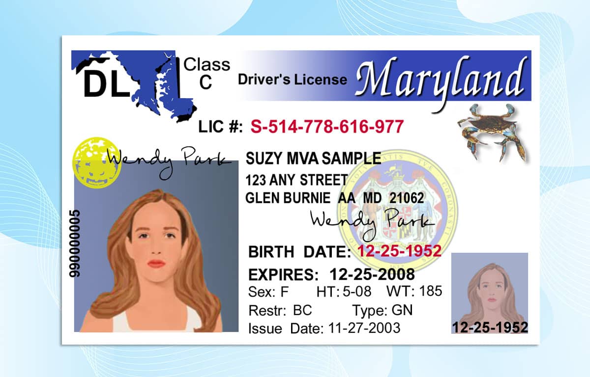 Illegal Vehicle Registrations: The Drain On Virginia's Revenue From Maryland Drivers Illegal Vehicle Registrations: The Drain On Virginia's Revenue From Maryland Drivers