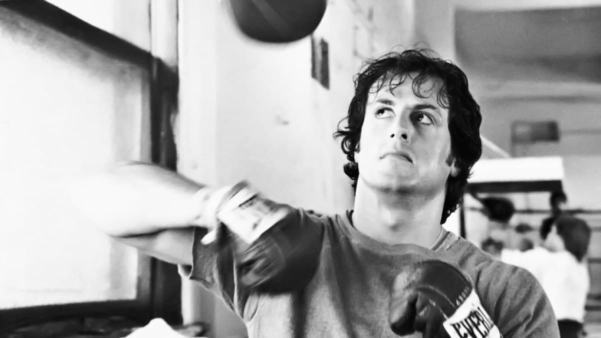 Impactul Financiar Al Lui Rocky Asupra Carierei Lui Sylvester Stallone Impactul Financiar Al Lui Rocky Asupra Carierei Lui Sylvester Stallone