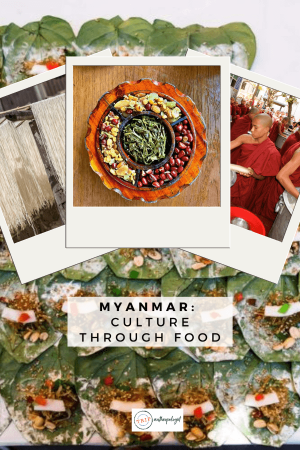 India And Myanmar Celebrate Shared Heritage Through Food India And Myanmar Celebrate Shared Heritage Through Food