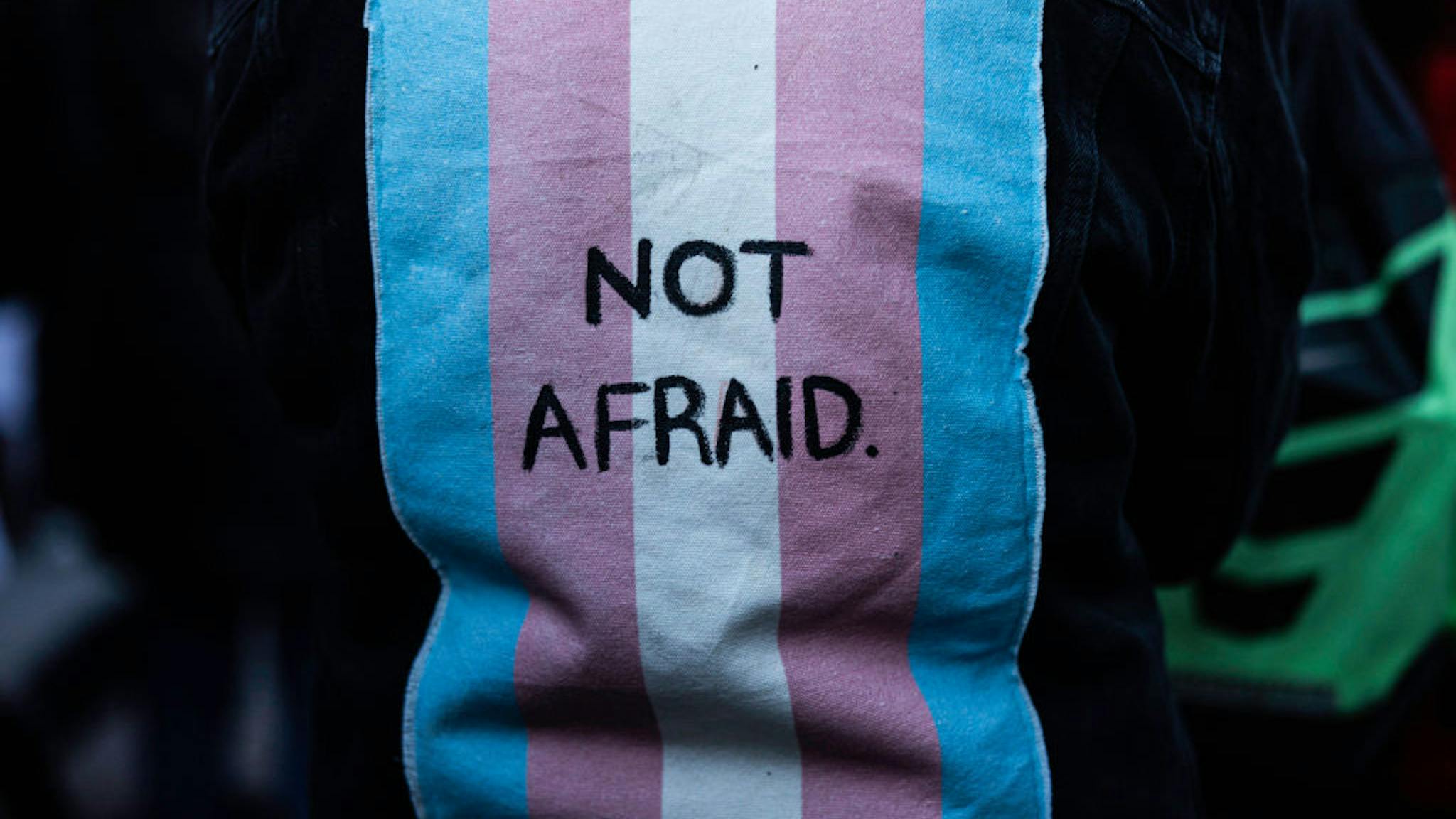 Investigating Allegations Of US Funding For Transgender Mouse Studies Investigating Allegations Of US Funding For Transgender Mouse Studies