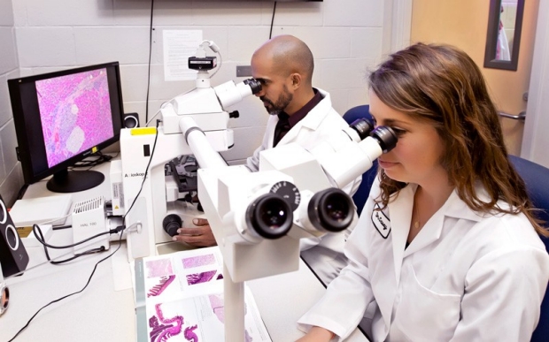 Investigating US Funding For Transgender Animal Research Studies Investigating US Funding For Transgender Animal Research Studies