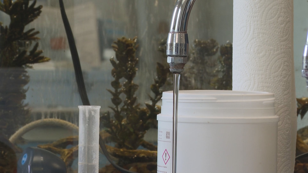 Investigation Into High PFAS Levels In Blue Mountains Water Source Investigation Into High PFAS Levels In Blue Mountains Water Source
