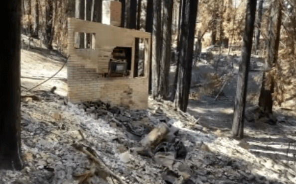 Is Betting On Wildfires The New Normal? The Los Angeles Case Is Betting On Wildfires The New Normal? The Los Angeles Case