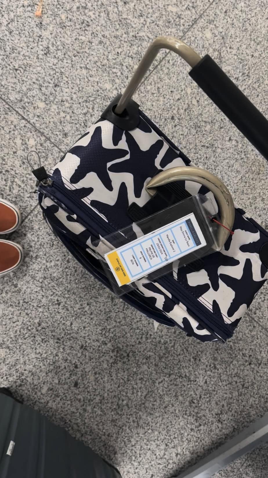 Items To Omit From Your Cruise Luggage