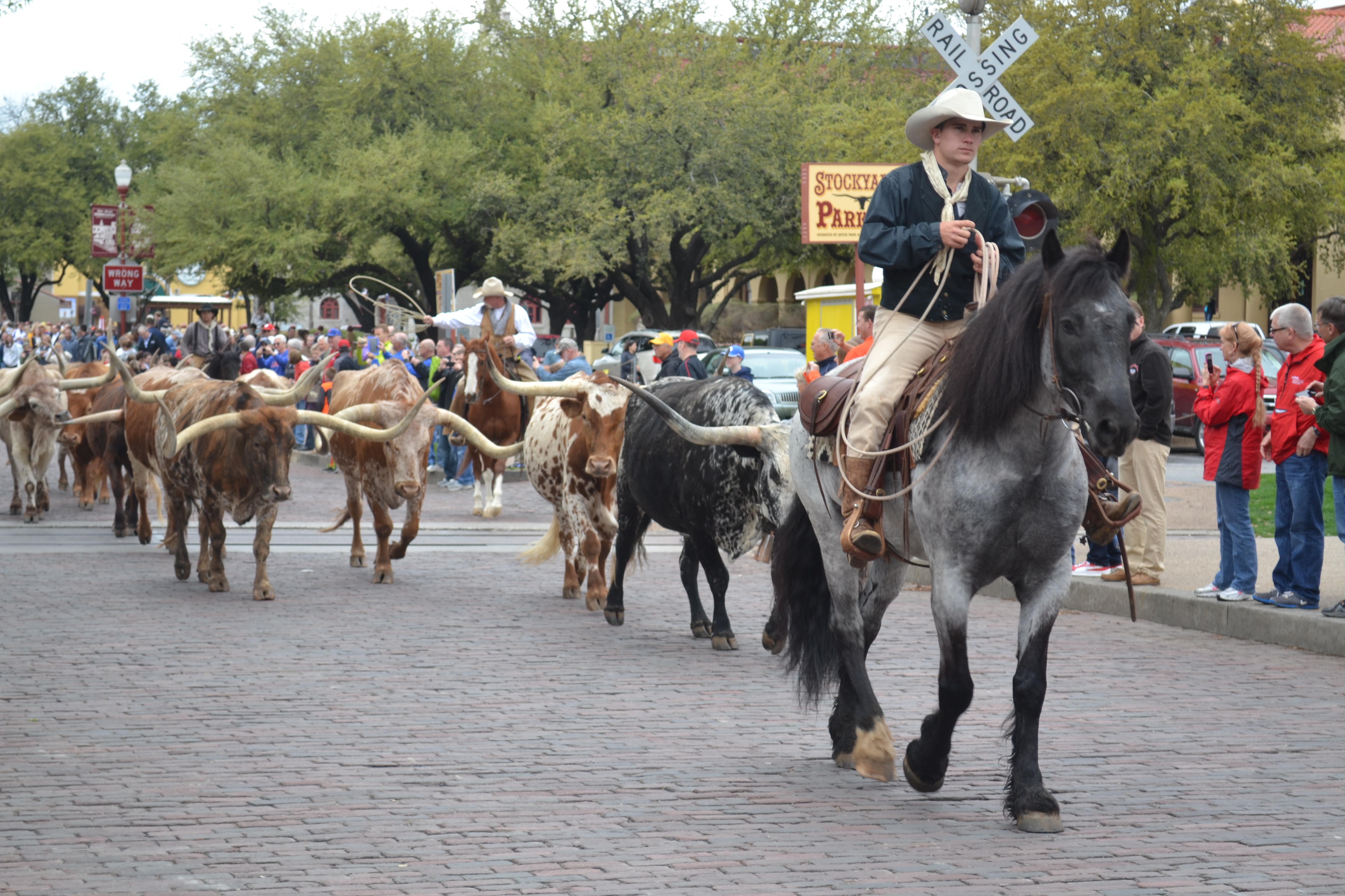 Joe Jonas' Surprise Concert At The Fort Worth Stockyards: A Fan's Delight Joe Jonas' Surprise Concert At The Fort Worth Stockyards: A Fan's Delight