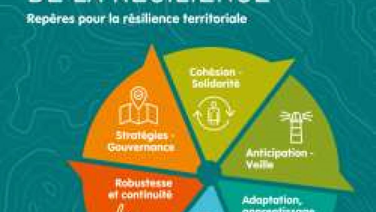 José Aldo: Résilience Et Adaptation Dans La Carrière D'un Champion José Aldo: Résilience Et Adaptation Dans La Carrière D'un Champion