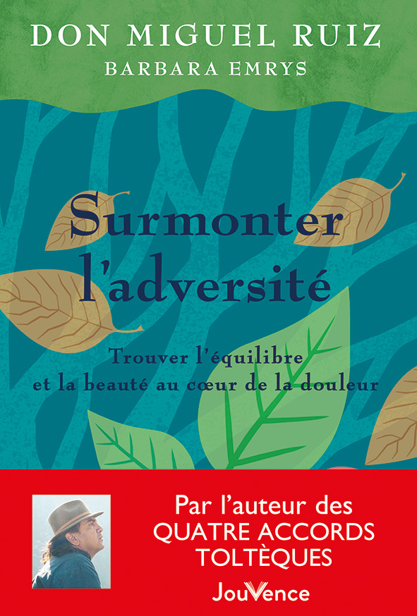José Aldo : Surmonter L'Adversité Et Progresser José Aldo : Surmonter L'Adversité Et Progresser