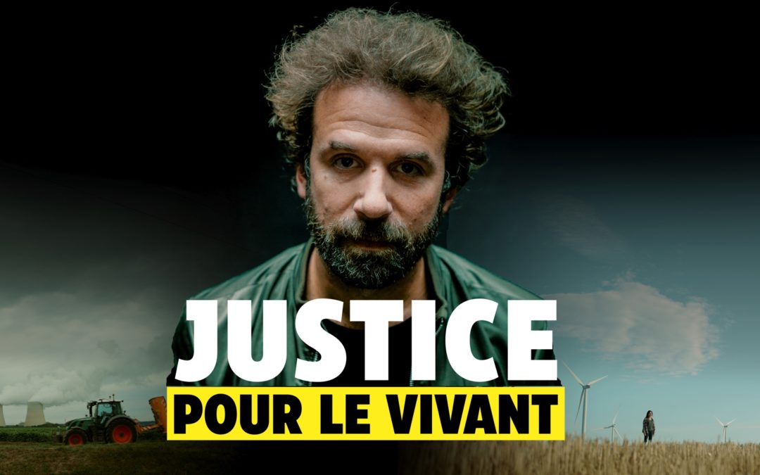 Justice Pour Les Étoiles De Mer : Une Question De Droits Pour Le Vivant ?