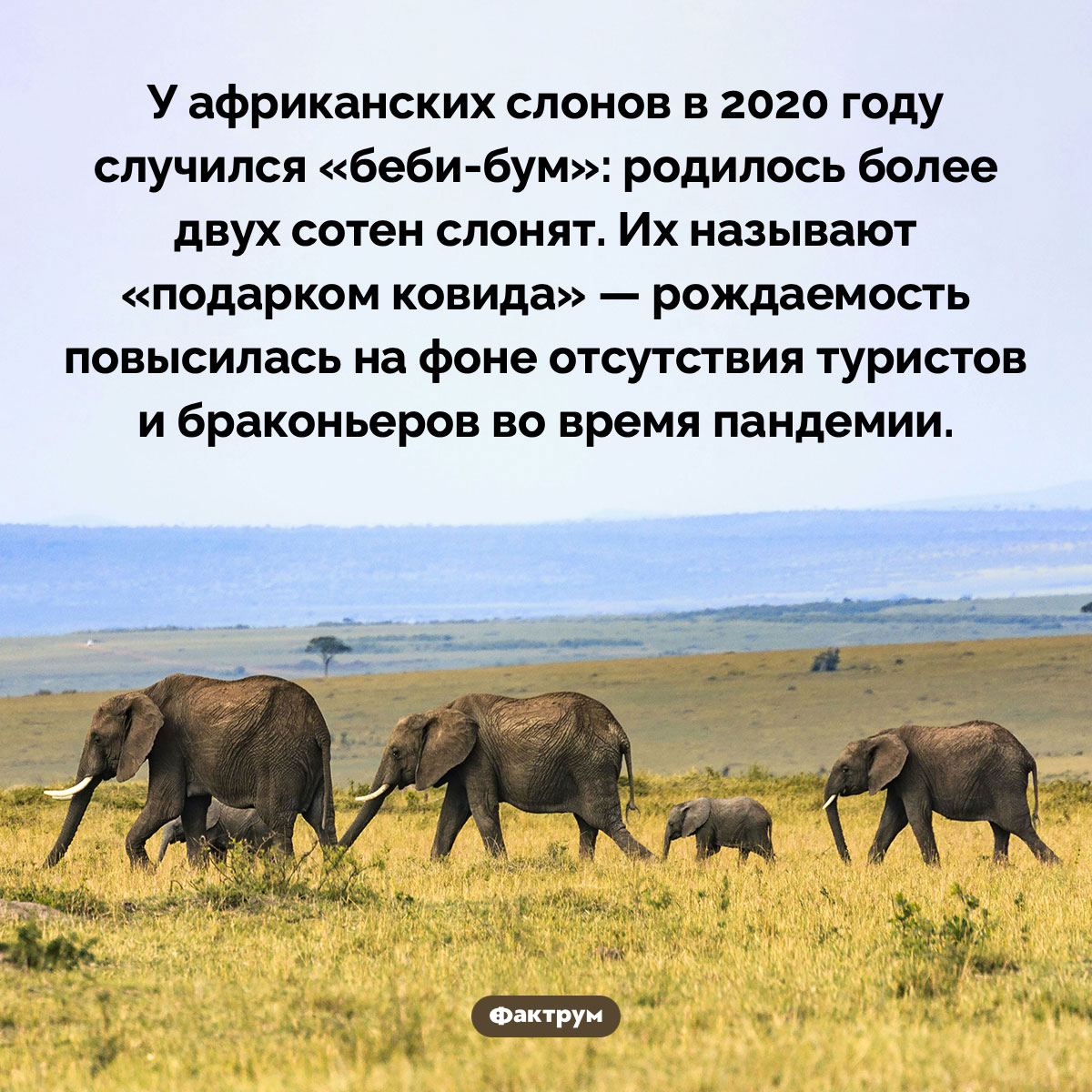 Как Женятся На Харьковщине: Свадебный Бум – Более 600 Браков За Месяц Как Женятся На Харьковщине: Свадебный Бум – Более 600 Браков За Месяц