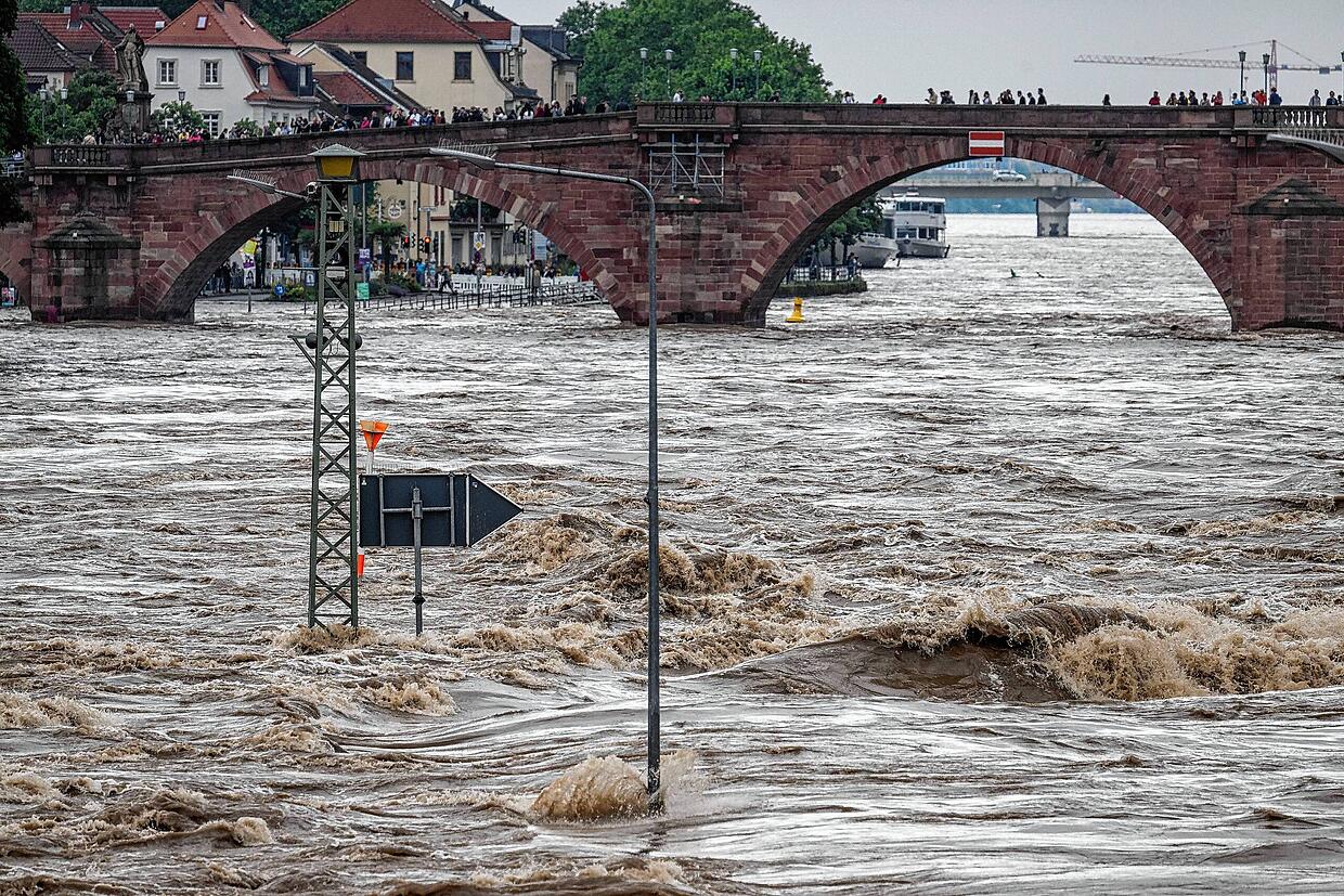 Katastrophenschutz Am Bodensee: Übungsszenario In Hard Simuliert Ernstfall Katastrophenschutz Am Bodensee: Übungsszenario In Hard Simuliert Ernstfall