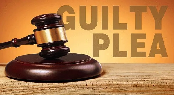 Kelvedon Man Admits To Possessing Animal Pornography Kelvedon Man Admits To Possessing Animal Pornography