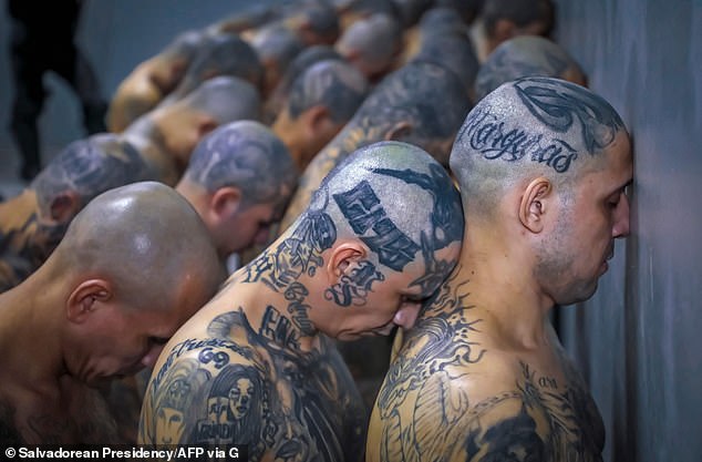 Kilmar Abrego Garcia: Fleeing Gang Violence And Navigating The Complexities Of US Immigration Kilmar Abrego Garcia: Fleeing Gang Violence And Navigating The Complexities Of US Immigration