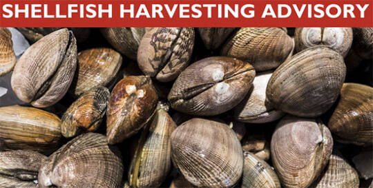 Kodiak Shellfish Harvest Closure Extended Due To Persistent Harmful Algal Blooms Kodiak Shellfish Harvest Closure Extended Due To Persistent Harmful Algal Blooms