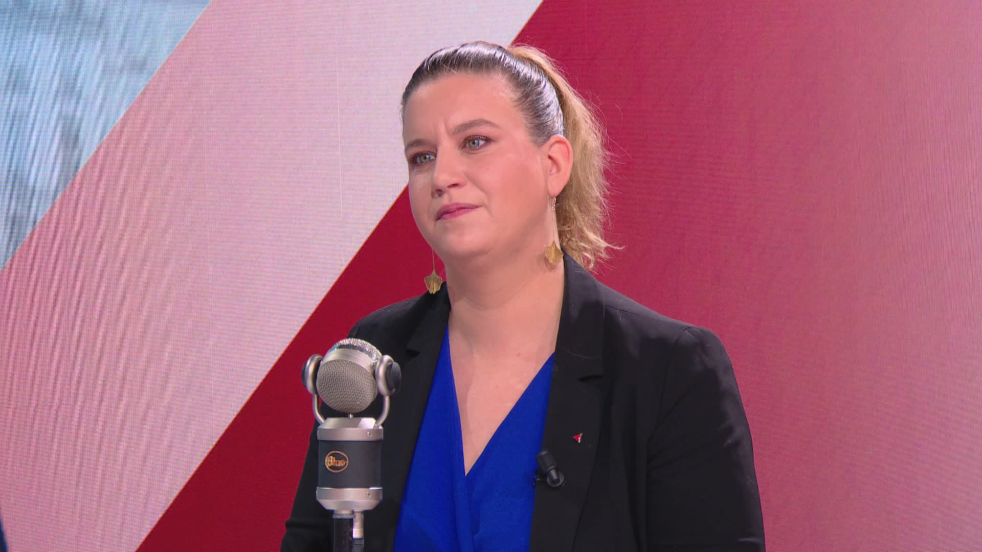 L'Assemblée Nationale: Analyse Du Positionnement Du RN Et De LFI Sur Les Questions De Frontières L'Assemblée Nationale: Analyse Du Positionnement Du RN Et De LFI Sur Les Questions De Frontières