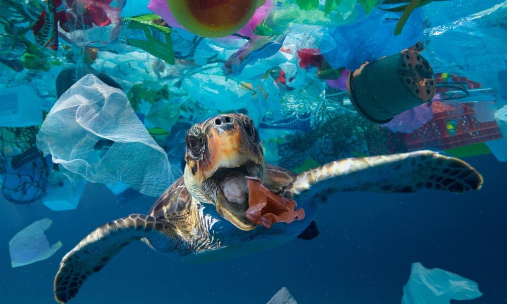 L'inquinamento Da Microplastiche: In Quale Tipo Di Acqua È Più Concentrato? L'inquinamento Da Microplastiche: In Quale Tipo Di Acqua È Più Concentrato?