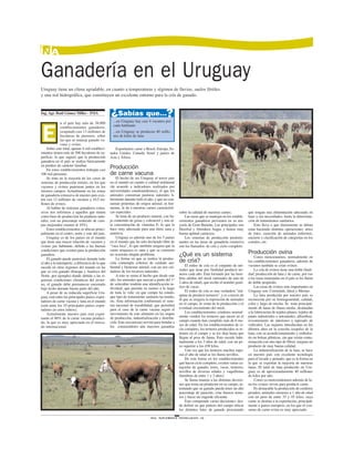 La Inusual Estrategia De Uruguay Para Mejorar Las Exportaciones Ganaderas A China La Inusual Estrategia De Uruguay Para Mejorar Las Exportaciones Ganaderas A China