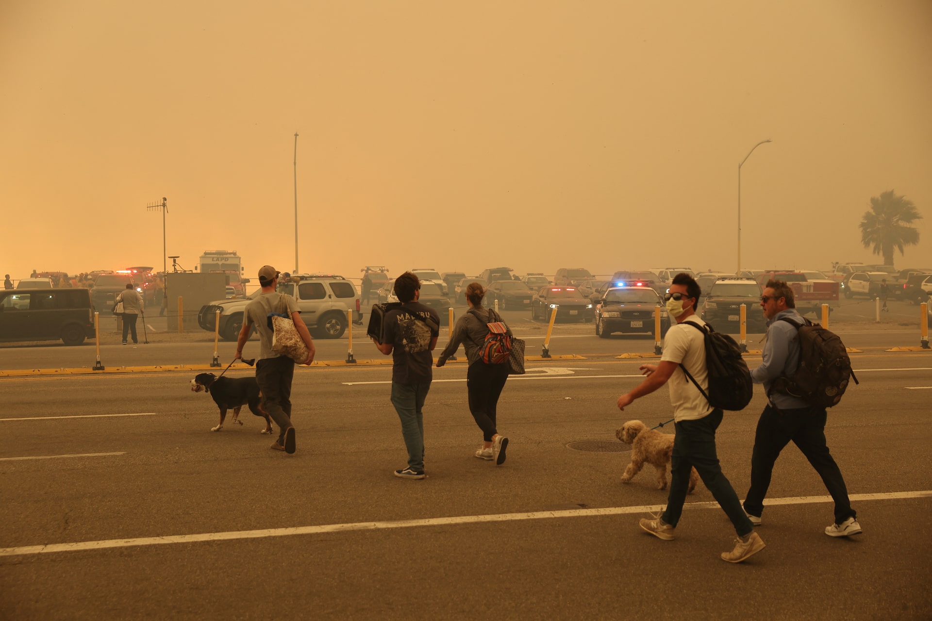 LA Wildfires And The Growing Market For Disaster-Related Gambling LA Wildfires And The Growing Market For Disaster-Related Gambling