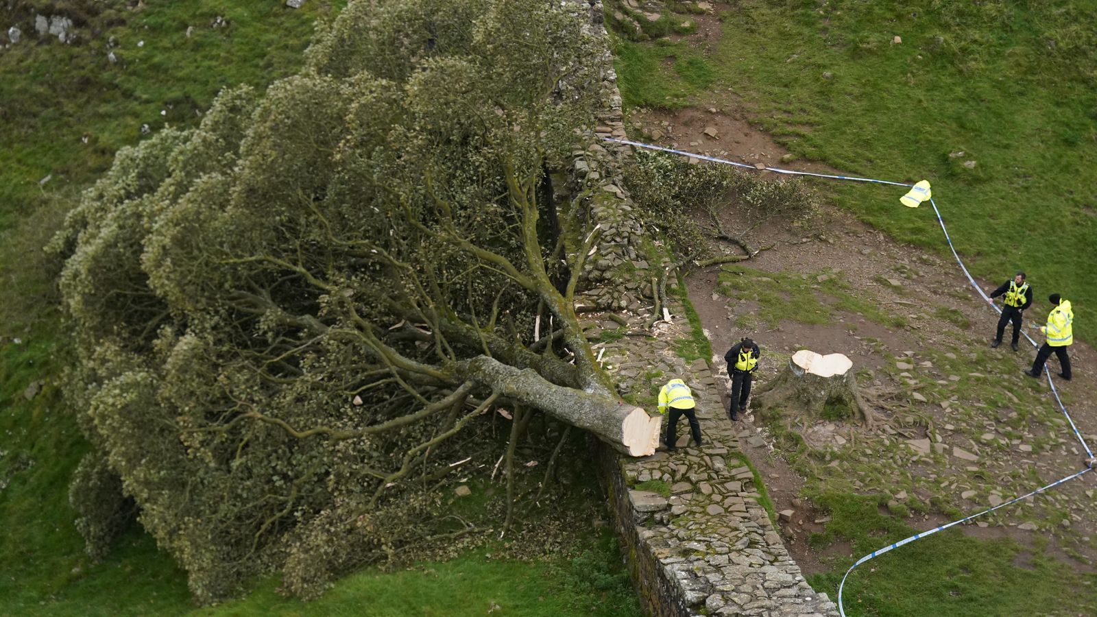 Landmark Sycamore Gap Tree:  Two Men Receive Sentences